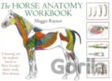 Horse Anatomy Workbook