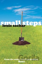 Small Steps