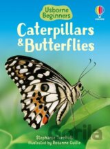 Caterpillars and Butterflies