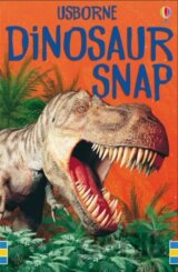 Dinosaur Snap Card Game Cards