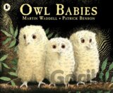 Owl Babies