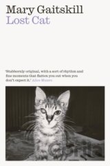 Lost Cat