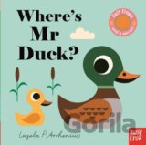 Where's Mr Duck?