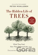 The Hidden Life of Trees