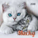 Mačky 2018