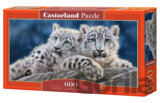 Snow Leopard Cubs