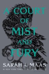 Court Of Mist And Fury Adult