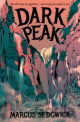 Rollercoasters: Dark Peak