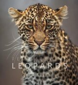Remembering Leopards