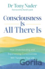 Consciousness Is All There Is