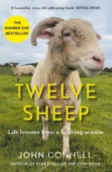 Twelve Sheep