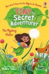 Tiny the Secret Adventurer: The Mystery Visitor