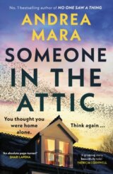 Someone in the Attic