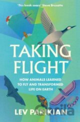 Taking Flight