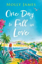One Day to Fall in Love