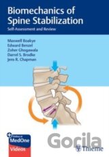 Biomechanics of Spine Stabilization: Self-Assessment and Review