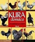 Kura domáca - Plemená a chov