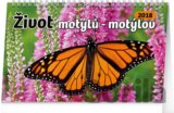 Život motýlů / Život motýľov 2018