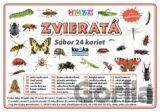 Súbor 24 kariet - Zvieratá (hmyz)