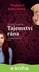 Tajemství rána