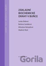Základní biochemické dráhy v buňce