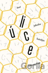 Úlice
