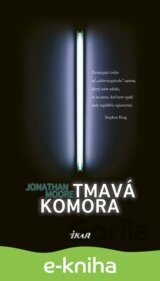 Tmavá komora