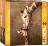 Žirafy mateřský polibek