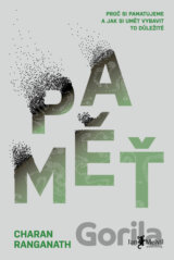 Paměť