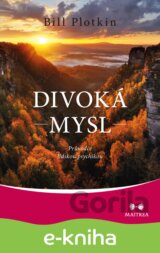 Divoká mysl