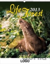 Život v lese praktik 2013