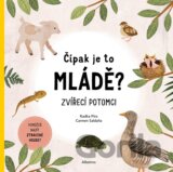 Čípak je to mládě?