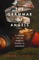 The Grammar of Angels