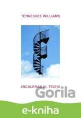 Escaleras al techo