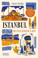 Istanbul on Five Kurush a Day