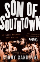 Son of Southtown : My Life Between Two Worlds