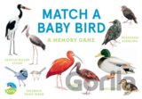 Match a Baby Bird