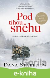 Pod tíhou sněhu