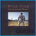PINK FLOYD - DELICATE SOUND OF THUNDER (2CD)