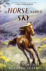 A Horse Named Sky