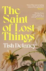 The Saint of Lost Things