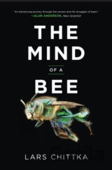 The Mind of a Bee