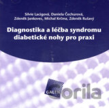 Diagnostika a léčba syndromu diabetické nohy pro praxi