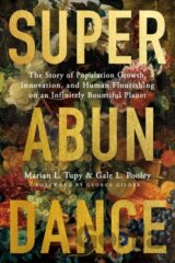 Superabundance