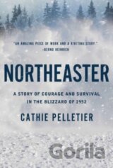 Northeaster