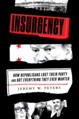 Insurgency
