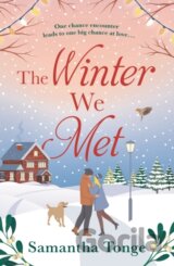 The Winter We Met