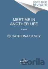 Meet Me in Another Life