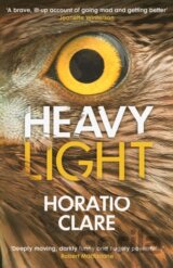 Heavy Light