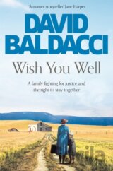 Wish You Well